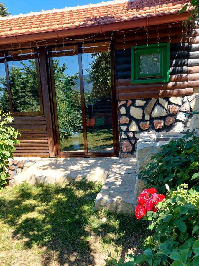 Apartma The